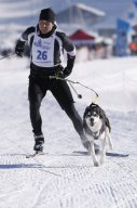 Lenk 2013